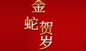 2025年，新春快樂(lè)  萬(wàn)事順意！